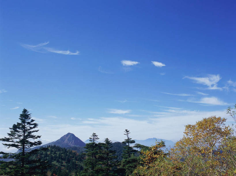 无人,横图,室外,白天,正面,旅游,度假,美景,山,山脉,树林,植物,长野县,日本,亚洲,景观,山峰,云,云朵,山峦,云彩,娱乐,树,树木,蓝色,绿色,白云,蓝天,天空,自然,群山,天,享受,休闲,景色,放松,白桦,生长,晴朗,成长,自然风光,东亚,本州,本州岛,日本国,中部地方,长野,志贺高原,晴空,桦树,桦皮树,桦木,彩图
