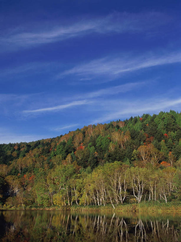 无人,竖图,室外,白天,正面,旅游,度假,草地,草坪,湖,湖泊,美景,森林,树林,水,植物,长野县,日本,亚洲,波纹,湖面,景观,水流,水面,云,云朵,涟漪,云彩,娱乐,草,树,树木,蓝色,绿色,白云,倒影,蓝天,水纹,天空,自然,波浪,湖水,天,享受,休闲,景色,放松,生长,晴朗,成长,倒映,自然风光,东亚,本州,本州岛,日本国,中部地方,水晕,长野,志贺高原,反照,晴空,彩图