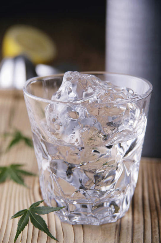 清酒,无人,竖图,室内,特写,白天,正面,水,桌子,柠檬,杯子,叶子,倒,透明,瓷器,纹理,液体,冰,水滴,冰块,绿叶,陶瓷制品,烧酒,冷冻,饮食,玻璃制品,酒,酒瓶,饮料,一个,黑色,酒杯,水杯,嫩叶,寒冷,浇,冷藏,单个,冰冷,瓷杯,保鲜,叶,叶片,玻璃杯,益母果,柠果,台面,彩图