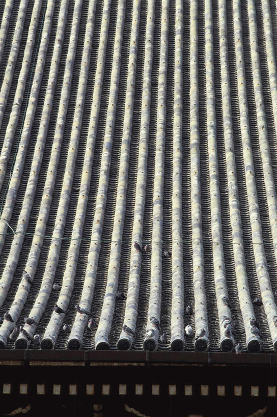 无人,寺庙,竖图,俯视,室外,白天,旅游,度假,名胜古迹,标志建筑,地标,建筑,鸽子,鸟,京都,日本,亚洲,一排,许多,节日,遗迹,整齐,装饰,结构,瓦片,屋顶,屋檐,建筑群,顶棚,古迹,文化,文物,娱乐,建设,古建筑,檐,排列,庙宇,祈祷,享受,休闲,健康,旅游胜地,放松,许愿,宗教,佛教,信仰,京都府,纪念,祈求,砖瓦,明亮,舒适,队列,宽敞,古文明,东亚,本州,本州岛,日本国,近畿地方,近畿,县厅,京都市,释教,东本愿寺,下京区,平安,彩图,高角度拍摄,庙,寺