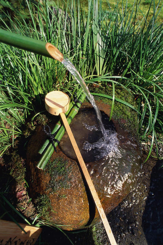 无人,竖图,俯视,室外,白天,草地,草坪,石头,水,植物,竹子,阴影,波纹,透明,光线,石子,液体,影子,竹筒,气泡,水滴,青苔,苔藓,涟漪,漩涡,水泡,水珠,草,绿色,水纹,阳光,泡泡,石块,岩石,竹,彩图,高角度拍摄