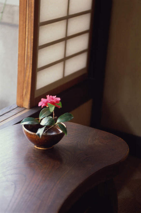 无人,竖图,俯视,室内,白天,旅游,度假,智慧,植物,窗户,桌子,标志建筑,地标,建筑,叶子,京都,日本,亚洲,艺术,盛开,盆栽,木桌,盆景,花蕾,文化,娱乐,建设,玻璃窗,花,花瓣,花朵,鲜花,绿色,自然,插花,花束,花苞,花蕊,享受,休闲,旅游胜地,放松,京都府,生长,成长,插花艺术,创造,创作,想象,东亚,本州,本州岛,日本国,近畿地方,近畿,嵯峨野,彩图,高角度拍摄