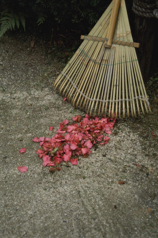 无人,寺庙,竖图,俯视,室外,白天,旅游,度假,名胜古迹,标志建筑,地标,建筑,京都,日本,亚洲,节日,遗迹,沙子,柱子,沙,落花,地面,古迹,文化,文物,娱乐,建设,古建筑,木柱,花,花瓣,绳子,庙宇,祈祷,享受,休闲,健康,旅游胜地,放松,许愿,宗教,佛教,信仰,京都府,打扫,纪念,绳索,祈求,耙,耙子,沙砾,清扫,古文明,东亚,本州,本州岛,日本国,近畿地方,大德寺,近畿,释教,扫除,平安,彩图,高角度拍摄,庙,寺