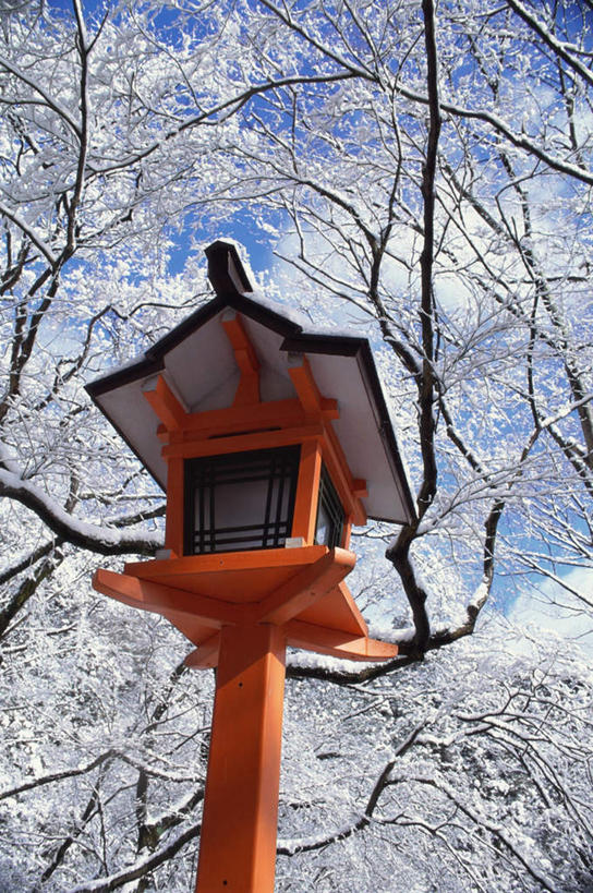 无人,寺庙,竖图,室外,白天,仰视,旅游,度假,名胜古迹,树林,雪,植物,大雪,标志建筑,地标,建筑,路灯,叶子,京都,日本,亚洲,节日,遗迹,积雪,雪景,冬季,冬天,下雪,灯光,寒冬,古迹,文化,文物,娱乐,建设,古建筑,灯,树,树木,自然,庙宇,祈祷,享受,休闲,健康,旅游胜地,放松,寒冷,许愿,宗教,佛教,信仰,京都府,纪念,祈求,冰冷,照明设备,古文明,东亚,本州,本州岛,日本国,近畿地方,近畿,严寒,冰凉,酷寒,凛冽,凛凛,极冷,释教,左京区,鞍马寺,平安,叶,叶片,彩图,低角度拍摄,庙,寺