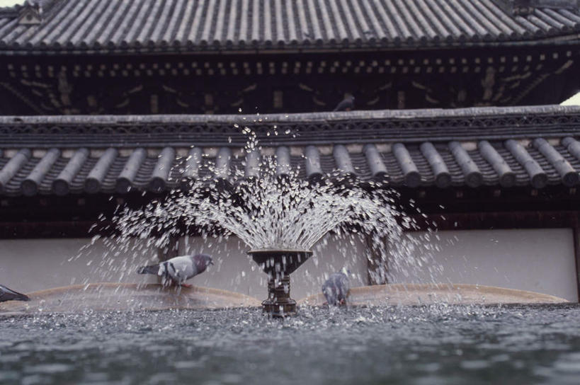 无人,家,寺庙,横图,室外,白天,正面,旅游,度假,名胜古迹,水,家具,标志建筑,地标,建筑,喷泉,京都,日本,亚洲,波纹,节日,遗迹,装饰,透明,瓦片,液体,房屋,庭院,屋檐,屋子,气泡,水池,水滴,水塘,涟漪,漩涡,古迹,文化,文物,娱乐,建设,水泡,古建筑,楼房,檐,住宅,水珠,水纹,泡泡,庙宇,祈祷,享受,休闲,健康,旅游胜地,放松,许愿,宗教,佛教,信仰,京都府,纪念,祈求,明亮,圆弧,舒适,宽敞,古文明,东亚,本州,本州岛,日本国,近畿地方,近畿,县厅,京都市,释教,西本愿寺,下京区,平安,彩图,房子,庙,寺