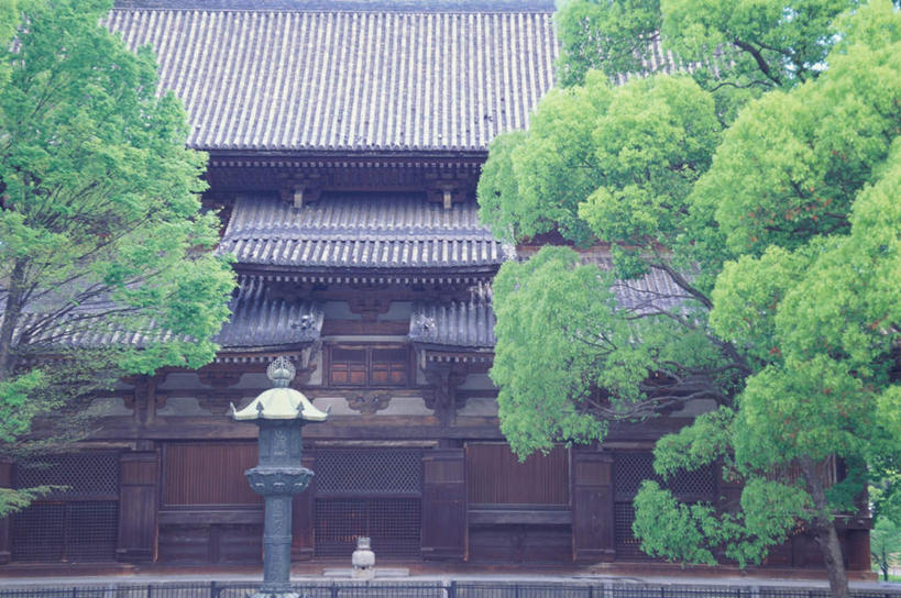 无人,家,寺庙,栏杆,横图,室外,白天,正面,旅游,度假,名胜古迹,树林,植物,家具,标志建筑,地标,建筑,路灯,京都,日本,亚洲,节日,遗迹,装饰,瓦片,栅栏,房屋,墙,屋檐,屋子,篱笆,围栏,围墙,塔,古迹,文化,文物,娱乐,建设,古建筑,宝塔,护栏,楼房,檐,墙壁,墙面,住宅,灯,树,树木,绿色,蓝天,天空,自然,庙宇,天,祈祷,享受,休闲,健康,旅游胜地,放松,许愿,宗教,佛教,信仰,京都府,生长,成长,纪念,祈求,明亮,舒适,宽敞,古文明,东亚,本州,本州岛,日本国,近畿地方,近畿,释教,东寺,教王护国寺,平安,彩图,房子,庙,寺