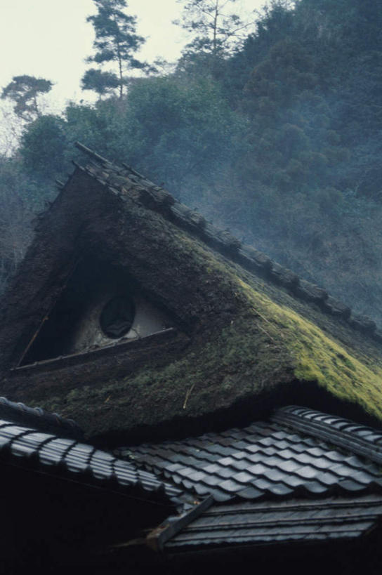 无人,竖图,室外,白天,仰视,旅游,度假,美景,山,山脉,树林,植物,叶子,京都,日本,亚洲,枯萎,瓦片,屋檐,景观,山峰,枯草,落叶,山峦,娱乐,檐,草,树,树木,黄色,绿色,自然,群山,享受,休闲,景色,放松,茅草,京都府,生长,成长,自然风光,东亚,本州,本州岛,日本国,近畿地方,近畿,岚山,叶,叶片,彩图,低角度拍摄