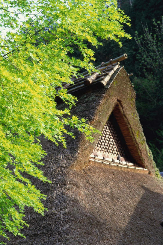 无人,木屋,竖图,室外,白天,正面,旅游,度假,美景,山,山脉,树林,植物,枫树,叶子,京都,日本,亚洲,枯萎,瓦片,屋檐,景观,山峰,枯草,落叶,山峦,娱乐,檐,草,树,树木,黄色,绿色,自然,群山,享受,休闲,景色,放松,茅草,京都府,生长,成长,自然风光,东亚,本州,本州岛,日本国,近畿地方,近畿,槭树,鸡爪槭,岚山,叶,叶片,鸡爪枫,彩图,茅舍,茅屋,棚屋,小木屋,小屋