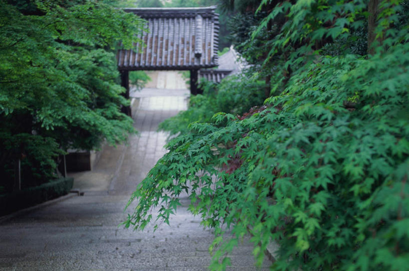 无人,木屋,栏杆,横图,俯视,室外,白天,旅游,度假,名胜古迹,植物,标志建筑,道路,地标,建筑,路,枫树,奈良县,日本,亚洲,阴影,遗迹,光线,瓦片,影子,栅栏,柱子,屋顶,屋檐,篱笆,围栏,小道,小路,走道,走廊,过道,交通,顶棚,古迹,文物,娱乐,建设,古建筑,护栏,木柱,檐,树,树木,绿色,阳光,自然,享受,休闲,门柱,旅游胜地,放松,生长,成长,古文明,东亚,本州,本州岛,日本国,近畿地方,奈良,近畿,槭树,鸡爪槭,斑鸠町,生驹郡,斑鸠寺,法隆寺,鸡爪枫,彩图,高角度拍摄,茅舍,茅屋,棚屋,小木屋,小屋