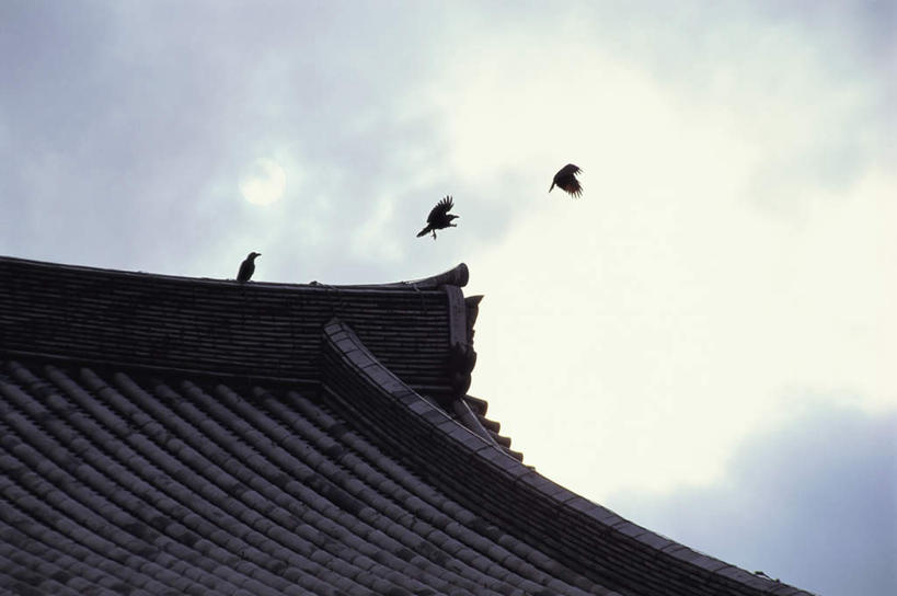 无人,寺庙,横图,室外,白天,仰视,旅游,度假,名胜古迹,太阳,地标,鸟,京都,日本,亚洲,三只,阴影,节日,遗迹,光线,瓦片,影子,屋顶,屋檐,云,云朵,小鸟,云彩,顶棚,古迹,文化,文物,娱乐,飞,古建筑,檐,蓝色,白云,蓝天,天空,阳光,庙宇,天,祈祷,享受,休闲,健康,旅游胜地,放松,许愿,宗教,佛教,信仰,京都府,晴朗,纪念,祈求,古文明,东亚,本州,本州岛,日本国,近畿地方,近畿,释教,东福寺,东山区,平安,晴空,彩图,低角度拍摄,全身,庙,寺,标志性建筑