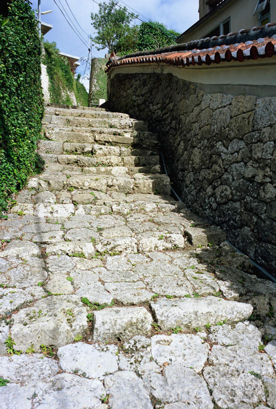 无人,竖图,室外,白天,正面,旅游,度假,植物,楼梯,标志建筑,地标,建筑,日本,亚洲,堡垒,城堡,阶梯,娱乐,建设,冲绳,那霸,台阶,树,树木,绿色,自然,享受,休闲,旅游胜地,放松,生长,成长,冲绳县,要塞,东亚,琉球群岛,日本国,九州地方,县厅,那霸市,设防,彩图