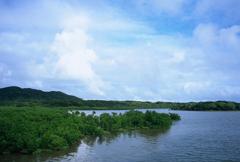 无人,横图,室外,白天,正面,旅游,度假,海浪,海洋,美景,树林,植物,日本,亚洲,阴影,光线,影子,景观,浪花,云,云朵,云彩,娱乐,冲绳,树,树木,蓝色,绿色,白云,蓝天,天空,阳光,自然,海水,天,享受,休闲,景色,放松,生长,晴朗,成长,冲绳县,自然风光,海景,东亚,琉球群岛,日本国,九州地方,八重山群岛,西表岛,大海,风浪,海,海水的波动,近岸浪,涌浪,晴空,彩图