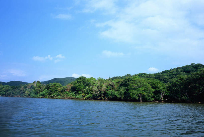 无人,横图,室外,白天,正面,旅游,度假,海浪,海洋,美景,树林,植物,日本,亚洲,阴影,光线,影子,景观,浪花,云,云朵,云彩,娱乐,冲绳,树,树木,蓝色,绿色,白云,蓝天,天空,阳光,自然,海水,天,享受,休闲,景色,放松,生长,晴朗,成长,冲绳县,自然风光,海景,东亚,琉球群岛,日本国,九州地方,八重山群岛,西表岛,大海,风浪,海,海水的波动,近岸浪,涌浪,晴空,彩图