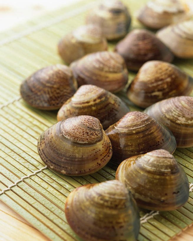 无人,竖图,俯视,室内,特写,白天,桌面,桌子,贝壳,许多,阴影,竹制,光线,木制,影子,木制品,竹制品,蚌,巨蚌,巨蛤,寿司帘,寿司席,寿司竹,寿司竹卷,寿司竹席,贝类外壳,软体动物外壳,彩图,高角度拍摄