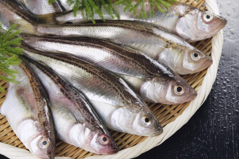 海鲜,无人,交叉,横图,俯视,室内,特写,白天,竹子,叶子,一排,阴影,黑色背景,竹制,整齐,装饰,编织,光线,鱼,篮子,影子,绿叶,水产,鱼类,海洋生物,排列,竹篮,嫩叶,摄影,影棚,竹条,华丽,修饰,交织,点缀,竹制品,队列,水生动物,海产品,水生物,海底动物,衬托,美观,雅致,雅观,穿插,叶,叶片,沙鱼,彩图,高角度拍摄,影棚拍摄,拍摄