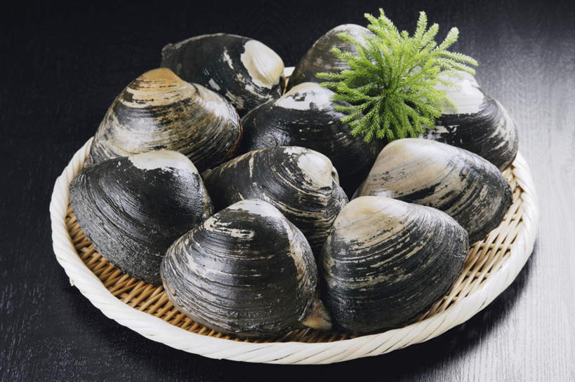 海鲜,无人,交叉,横图,俯视,室内,特写,白天,竹子,贝壳,叶子,一排,阴影,黑色背景,竹制,整齐,装饰,编织,光线,篮子,影子,绿叶,水产,排列,竹篮,嫩叶,摄影,影棚,竹条,华丽,修饰,交织,点缀,竹制品,队列,海产品,蚌,衬托,美观,雅致,雅观,穿插,巨蚌,巨蛤,叶,叶片,贝类外壳,软体动物外壳,彩图,高角度拍摄,影棚拍摄,拍摄