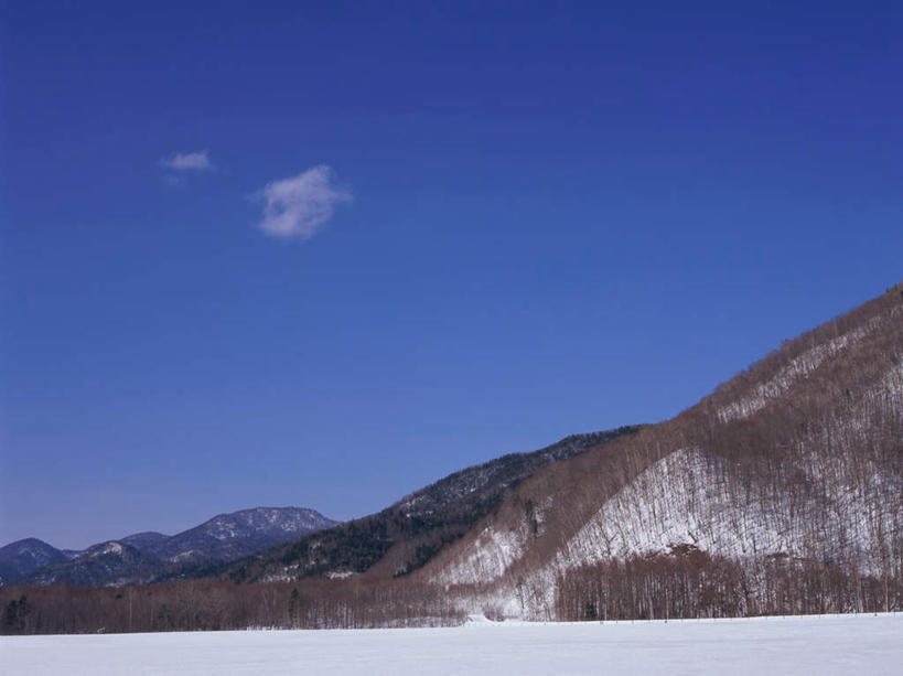 无人,横图,室外,白天,正面,旅游,度假,石头,美景,森林,山,树林,雪,雪山,植物,大雪,长野县,日本,亚洲,阴影,光线,石子,影子,冰,积雪,景观,山顶,山峰,雪景,云,云朵,冬季,冬天,山峦,云彩,娱乐,树,树木,蓝色,绿色,白云,蓝天,天空,阳光,自然,天,享受,休闲,景色,放松,寒冷,生长,晴朗,成长,冰冷,自然风光,东亚,沉积岩,本州,本州岛,日本国,中部地方,长野,严寒,冰凉,酷寒,凛冽,凛凛,极冷,颠峰,极峰,水成岩,蓼科山,石块,岩石,晴空,彩图