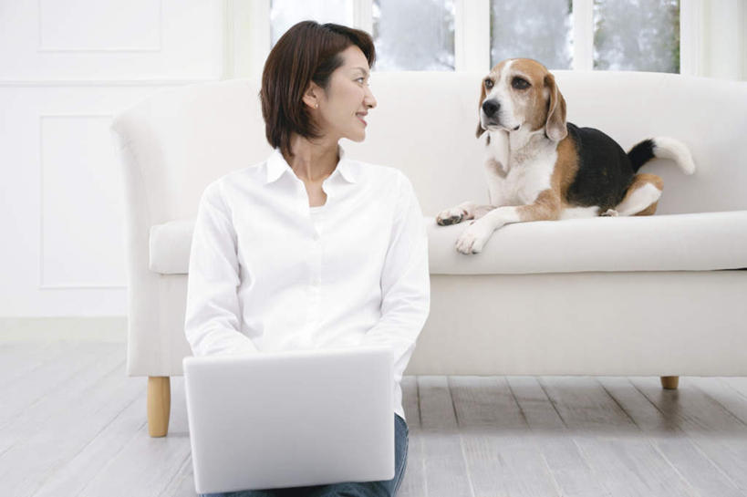 东方人,一个人,坐,横图,室内,白天,正面,电脑,笔记本电脑,宠物,狗,亚洲,仅一个年轻女性,仅一个女性,仅一个人,阴影,服装,光线,网络,影子,猎兔犬,注视,休闲装,黄种人,通讯设备,衣服,动物,观察,看,休闲,休闲服,可爱,服饰,比格犬,观看,察看,无线,关注,通信设备,无线网络,无线上网,便携式电脑,忠诚,米格鲁猎兔犬,贝高狗,贝高犬,比格狗,猎兔狗,手提电脑,年轻女性,女人,女性,亚洲人,犬,坐着,半身,彩图