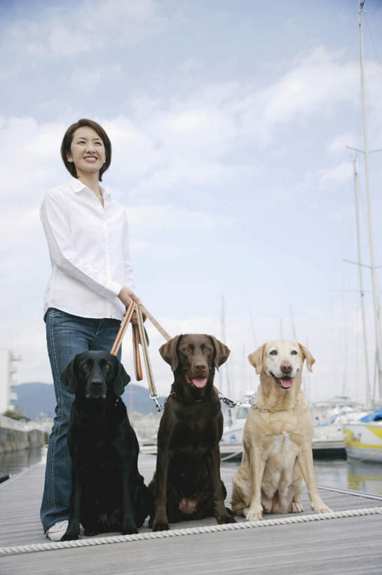 东方人,一个人,站,竖图,室外,白天,正面,宠物,狗,亚洲,仅一个年轻女性,仅一个女性,仅一个人,三只,阴影,服装,光线,影子,云,云朵,拿,云彩,拿着,注视,休闲装,黄种人,拉布拉多猎犬,衣服,蓝色,白云,蓝天,天空,阳光,动物,天,观察,看,站着,休闲,休闲服,可爱,服饰,晴朗,观看,察看,关注,拉布拉多犬,牵引绳,忠诚,年轻女性,女人,女性,亚洲人,晴空,犬,站立,彩图,全身