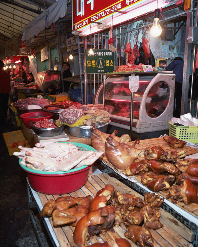 东方人,一个人,商店,站,竖图,室外,白天,正面,购物,旅游,度假,消费,釜山,韩国,亚洲,仅一个女性,仅一个人,阴影,服装,光线,盆,影子,灯光,肉,注视,休闲装,黄种人,娱乐,商铺,猪肉,肉类,吊灯,灯,衣服,灯具,观察,看,站着,仅一个中年女性,享受,休闲,休闲服,放松,金融,服饰,观看,察看,照明设备,关注,选购,贸易,肉食,东亚,豚肉,血拼,大韩民国,釜山市,釜山广域市,广域市,市肆,商号,女人,女性,中年女性,亚洲人,站立,半身,彩图,店铺