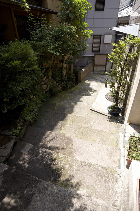 无人,家,竖图,俯视,室外,白天,度假,美景,植物,城市风光,城市,道路,路,东京,日本,亚洲,阴影,光线,影子,房屋,屋子,景观,小路,交通,新宿,娱乐,楼房,住宅,树,树木,绿色,阳光,自然,享受,休闲,景色,放松,生长,成长,东亚,本州,关东地方,本州岛,日本国,东京都,新宿区,县厅,东京市,神乐坂,彩图,高角度拍摄,房子