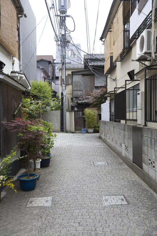 无人,家,竖图,室外,白天,正面,旅游,度假,植物,道路,路,东京,日本,亚洲,阴影,电力,光线,电线,线,影子,房屋,屋子,小路,电能,交通,新宿,线路,娱乐,楼房,住宅,树,树木,绿色,阳光,自然,享受,休闲,放松,生长,成长,电,电源,电源线,能量,东亚,本州,关东地方,本州岛,日本国,东京都,新宿区,县厅,东京市,神乐坂,彩图,房子