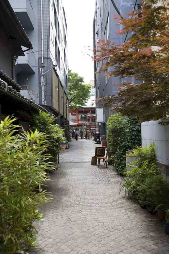 无人,家,竖图,室外,白天,正面,旅游,度假,植物,道路,路,东京,日本,亚洲,阴影,电力,光线,电线,线,影子,房屋,屋子,小路,电能,交通,新宿,线路,娱乐,楼房,住宅,树,树木,绿色,阳光,自然,享受,休闲,放松,生长,成长,电,电源,电源线,能量,东亚,本州,关东地方,本州岛,日本国,东京都,新宿区,县厅,东京市,神乐坂,彩图,房子