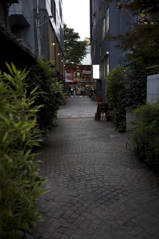 无人,家,竖图,室外,白天,正面,旅游,度假,植物,道路,路,东京,日本,亚洲,房屋,屋子,小路,交通,新宿,娱乐,楼房,住宅,树,树木,绿色,自然,享受,休闲,放松,生长,成长,东亚,本州,关东地方,本州岛,日本国,东京都,新宿区,县厅,东京市,神乐坂,彩图,房子