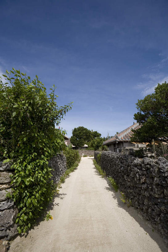 无人,竖图,室外,白天,正面,旅游,度假,美景,道路,路,日本,亚洲,阴影,盛开,光线,影子,墙,景观,云,云朵,小路,木槿,木槿花,交通,美丽,花蕾,云彩,娱乐,冲绳,墙壁,墙面,花,花瓣,花朵,鲜花,红色,蓝色,白云,蓝天,天空,阳光,自然,天,花苞,花蕊,享受,休闲,景色,放松,晴朗,冲绳县,坚韧,自然风光,东亚,琉球群岛,竹富岛,日本国,九州地方,永恒,质朴,无穷花,八重山群岛,晴空,彩图