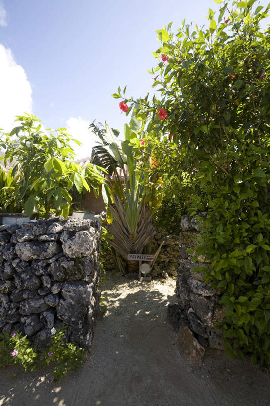 无人,竖图,室外,白天,正面,旅游,度假,美景,植物,道路,路,日本,亚洲,盛开,墙,景观,云,云朵,小路,交通,花蕾,云彩,娱乐,冲绳,石墙,墙壁,墙面,花,花瓣,花朵,鲜花,树,树木,蓝色,绿色,白云,蓝天,天空,自然,天,花苞,花蕊,享受,休闲,景色,放松,乡间小路,生长,成长,冲绳县,自然风光,东亚,琉球群岛,竹富岛,日本国,九州地方,八重山群岛,彩图