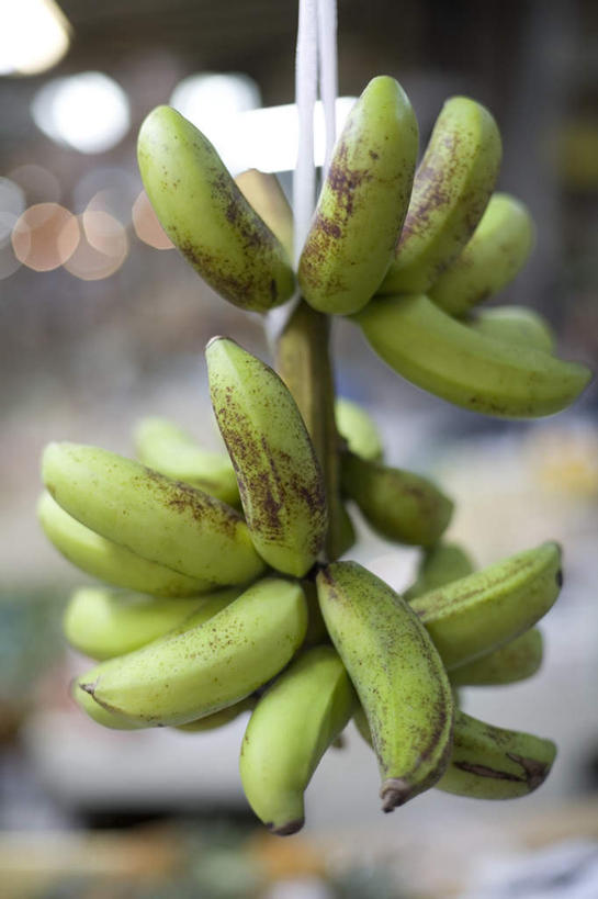 无人,竖图,室内,特写,白天,正面,香蕉,水果,日本,亚洲,吊挂,悬挂,阴影,朦胧,模糊,新鲜,光线,影子,生食,食品,果实,挂,冲绳,食物,有机食品,绿色食品,冲绳县,东亚,琉球群岛,日本国,九州地方,甘蕉,彩图