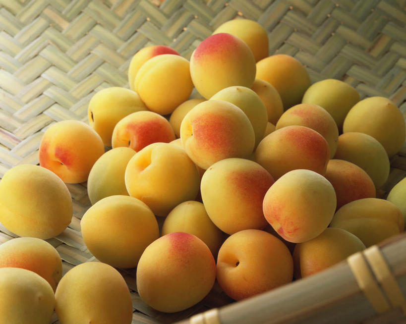 无人,交叉,横图,俯视,室内,特写,白天,竹子,李子,水果,一筐,阴影,竹制,新鲜,编织,光线,篮子,影子,生食,食品,果实,食物,竹篮,摄影,有机食品,绿色食品,影棚,竹条,交织,竹制品,梅子,穿插,恐龙蛋,布冧,彩图,高角度拍摄,影棚拍摄,拍摄