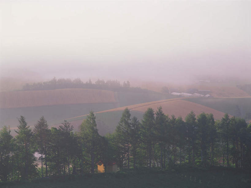 无人,农田,横图,室外,白天,正面,旅游,度假,庄稼,美景,树林,植物,雾,北海道,日本,亚洲,朦胧,模糊,景观,田野,娱乐,树,树木,绿色,自然,享受,休闲,景色,放松,生长,成长,迷雾,自然风光,东亚,日本国,北海道地方,北海道岛,富良野,道北,富良野市,大雾,彩图,耕地,庄稼田,上川支厅