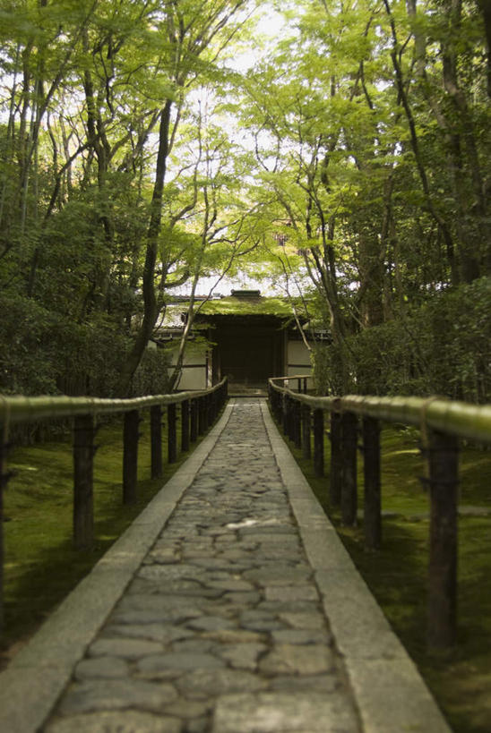 无人,寺庙,栏杆,竖图,室外,白天,正面,旅游,度假,纯洁,标志建筑,道路,地标,建筑,路,竹子,京都,日本,亚洲,节日,围栏,小路,交通,文化,娱乐,建设,护栏,庙宇,祈祷,享受,休闲,健康,旅游胜地,放松,许愿,宗教,佛教,信仰,乡间小路,京都府,纪念,祈求,高雅,东亚,本州,本州岛,日本国,近畿地方,大德寺,近畿,奉献,质朴,正直,释教,担当,平安,竹,彩图,庙,寺,奋进,操守,四君子,岁寒三友,性坚,虚怀,虚心,善群,卓尔