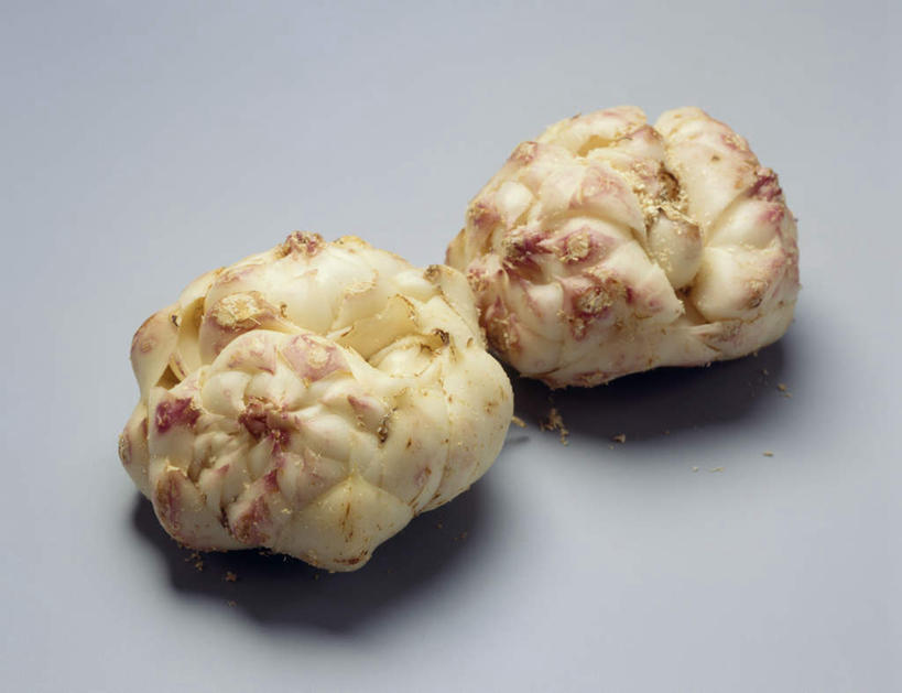 无人,横图,俯视,室内,特写,白天,白色背景,植物,蔬菜,新鲜,食品,草药,药草,中药,食物,两个,摄影,有机食品,绿色食品,影棚,药材,中草药,中药材,本草,百合,彩图,高角度拍摄,影棚拍摄,拍摄