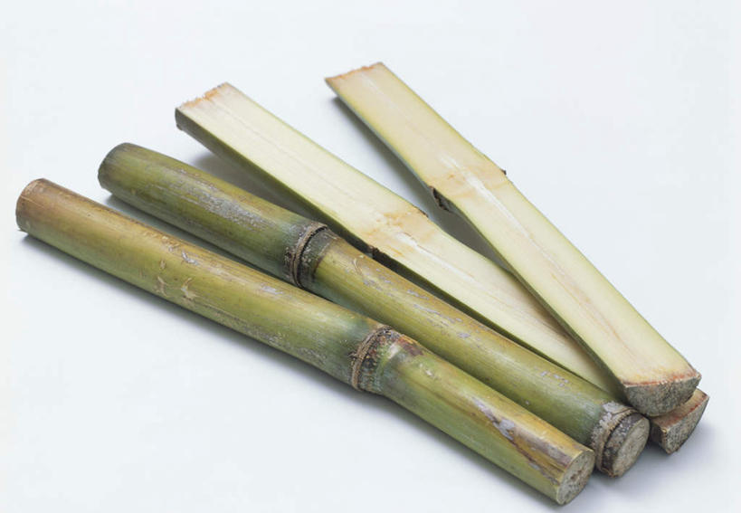 无人,横图,俯视,室内,特写,白天,白色背景,水果,切开,新鲜,生食,食品,果实,甘蔗,半个,食物,切,一半,摄影,有机食品,绿色食品,影棚,剖面,切面,糖蔗,彩图,高角度拍摄,影棚拍摄,拍摄