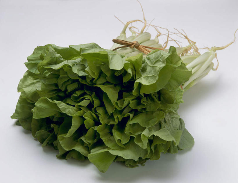 无人,横图,俯视,室内,特写,白天,白色背景,蔬菜,椰菜,卷心菜,新鲜,食品,食物,摄影,有机食品,绿色食品,影棚,结球甘蓝,甘兰,包心菜,彩图,高角度拍摄,影棚拍摄,拍摄