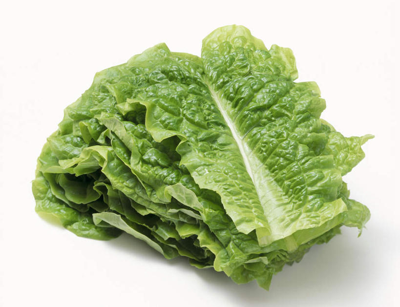 无人,横图,俯视,室内,特写,白天,白色背景,蔬菜,新鲜,莴苣,莴笋,食品,食物,摄影,有机食品,绿色食品,影棚,香笋,彩图,高角度拍摄,影棚拍摄,拍摄