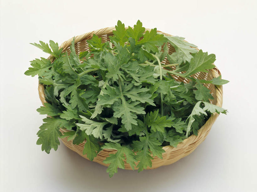 无人,横图,俯视,室内,特写,白天,白色背景,植物,蔬菜,新鲜,篮子,食品,黄草,草药,药草,中药,食物,摄影,有机食品,绿色食品,影棚,艾草,药材,中草药,中药材,本草,艾蒿,艾绒,遏草,灸草,香艾,医草,彩图,高角度拍摄,影棚拍摄,拍摄