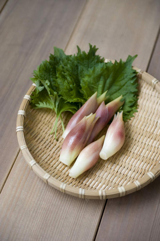 无人,竖图,俯视,室内,白天,烹饪,叶子,篮子,日本料理,料理,食品,绿叶,菜肴,美食,食物,日式料理,日式,嫩叶,佳肴,日本姜,紫苏,赤苏,红苏,黑苏,叶,叶片,彩图,高角度拍摄