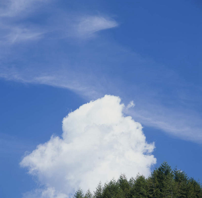 无人,横图,室外,白天,仰视,旅游,度假,美景,树林,植物,长野县,日本,亚洲,景观,云,云朵,云彩,娱乐,树,树木,蓝色,绿色,白云,蓝天,天空,自然,天,享受,休闲,景色,放松,生长,成长,自然风光,积雨云,东亚,本州,本州岛,日本国,中部地方,长野,诹访,诹访市,彩图,低角度拍摄