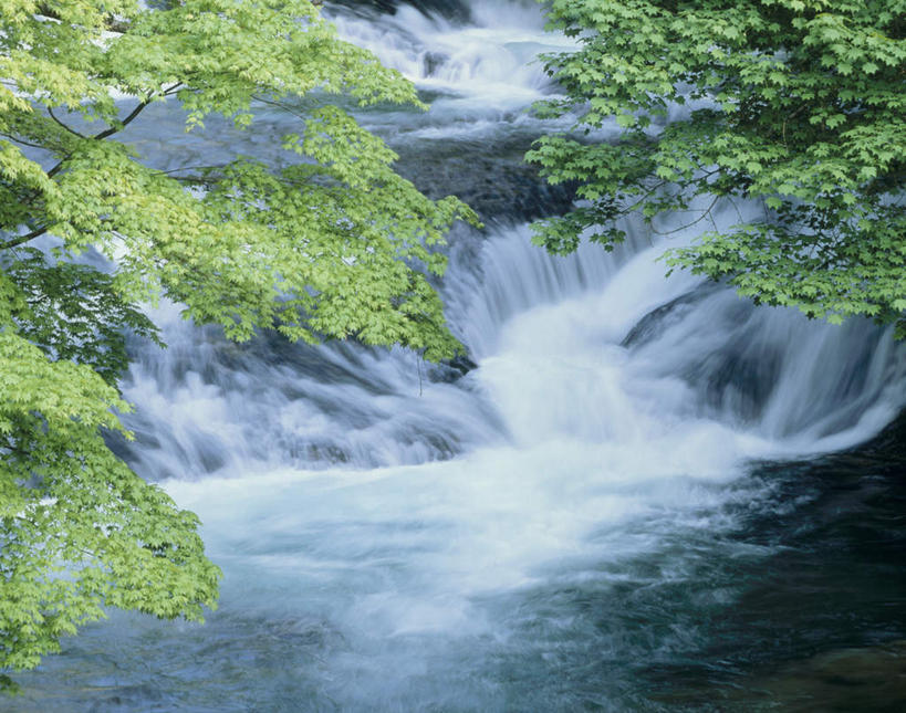 无人,横图,室外,白天,正面,旅游,度假,美景,瀑布,水,叶子,日本,亚洲,飞溅,溅,液体,景观,绿叶,娱乐,自然,享受,休闲,嫩叶,景色,放松,喷洒,自然风光,东亚,本州,本州岛,日本国,中部地方,山梨,山梨县,叶,叶片,跌水,彩图