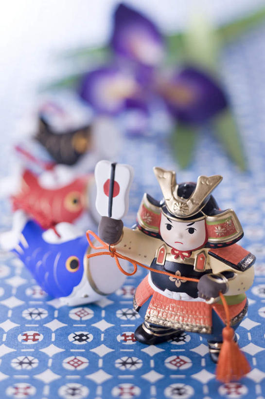 无人,竖图,俯视,室内,特写,白天,游戏,植物,玩具,节日,朦胧,模糊,庆祝,盛开,草药,玩,花蕾,文化,娱乐,中药,花,花瓣,花朵,鲜花,花苞,花蕊,庆典,休闲,益智,摄影,影棚,活动,纪念,鸢尾,发泄,消遣,智力,药材,中草药,中药材,本草,紫蝴蝶,蓝蝴蝶,乌鸢,扁竹花,宣泄,女儿节,玩耍,嬉戏,彩图,高角度拍摄,影棚拍摄,拍摄