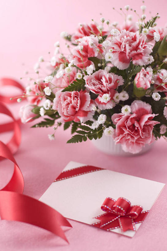 无人,竖图,俯视,室内,白天,康乃馨,母亲节,红色背景,节日,庆祝,盛开,花蕾,文化,花,花瓣,花朵,鲜花,花苞,花蕊,庆典,摄影,影棚,纪念,麝香石竹,石竹,香石竹,彩图,高角度拍摄,影棚拍摄,拍摄