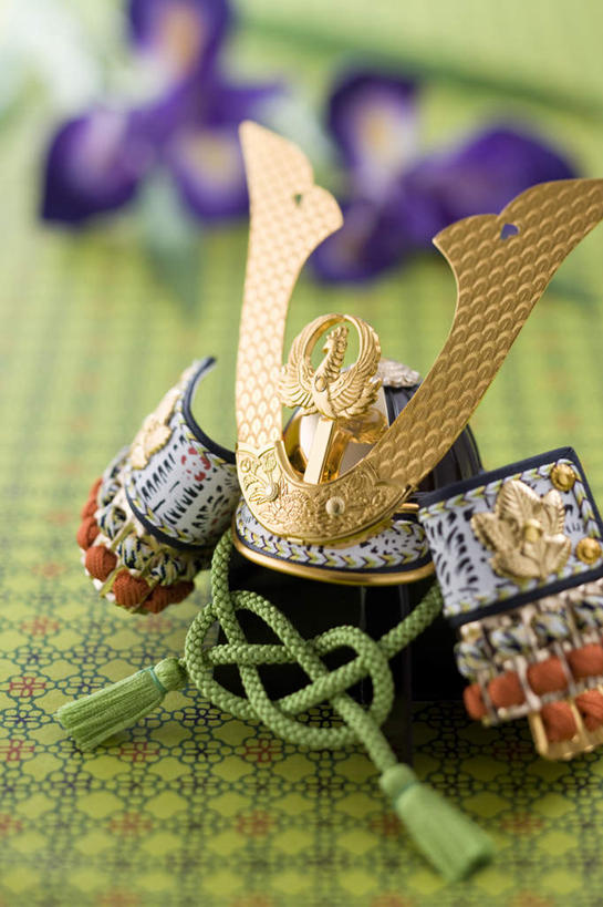 无人,竖图,俯视,室内,特写,白天,植物,帽子,节日,朦胧,模糊,庆祝,日本文化,装饰,盛开,头盔,草药,花蕾,文化,中药,花,花瓣,花朵,鲜花,一个,紫色,安全帽,饰品,花苞,花蕊,庆典,摄影,影棚,单个,纪念,儿童节,鸢尾,药材,中草药,中药材,本草,紫蝴蝶,蓝蝴蝶,乌鸢,扁竹花,彩图,高角度拍摄,影棚拍摄,拍摄