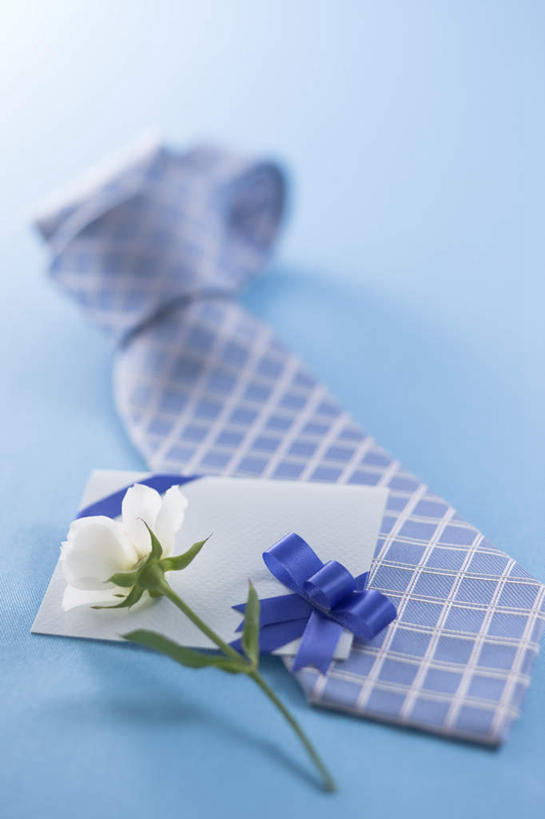 无人,竖图,俯视,室内,特写,白天,爱情,幸福,纯洁,热情,玫瑰,父亲节,蓝色背景,节日,朦胧,模糊,庆祝,盛开,玫瑰花,缎带,领带,浪漫,花蕾,文化,花,花瓣,花朵,鲜花,蓝色,蝴蝶结,花苞,花蕊,庆典,温暖,温馨,恩爱,摄影,影棚,纪念,和睦,感动,尊敬,天真,刺玫花,徘徊花,彩图,高角度拍摄,影棚拍摄,拍摄,融洽