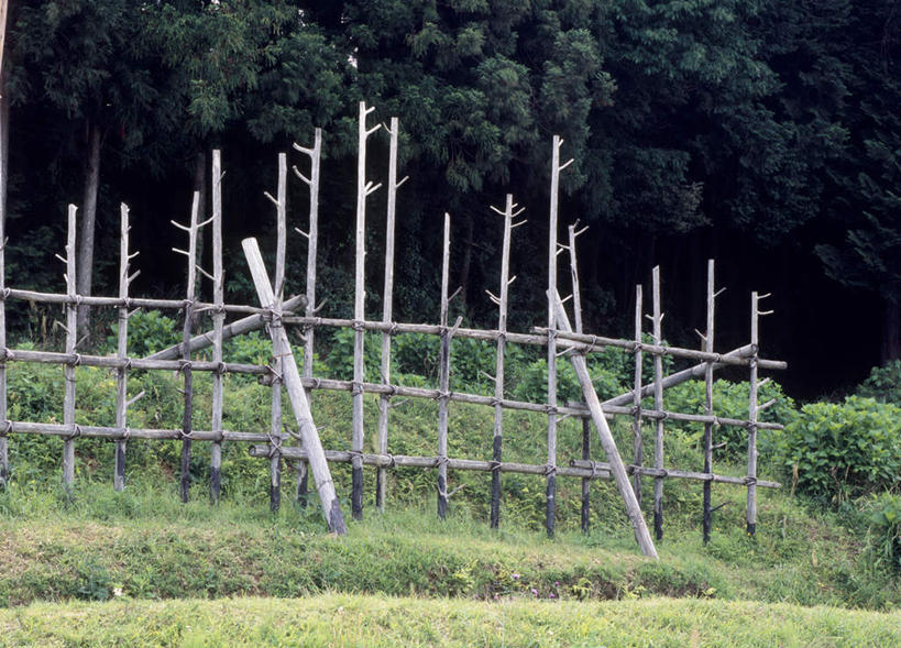 无人,栏杆,横图,室外,白天,正面,旅游,度假,草地,草坪,美景,森林,树林,植物,爱知县,日本,亚洲,景观,围栏,娱乐,护栏,草,树,树木,绿色,自然,享受,休闲,景色,放松,生长,成长,自然风光,东亚,本州,本州岛,日本国,中部地方,爱知,彩图