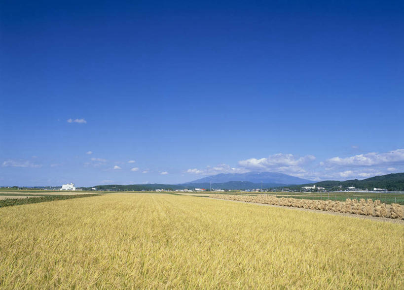 无人,农田,横图,室外,白天,正面,旅游,度假,庄稼,美景,山,爱媛县,日本,亚洲,稻田,地平线,景观,山峰,云,云朵,辽阔,地面,山峦,云彩,娱乐,蓝色,白云,蓝天,天空,自然,天,享受,休闲,广阔,景色,放松,一望无际,自然风光,延伸,东亚,日本国,天地相交,爱媛,四国地方,四国,四国岛,县厅,松山市,无边无际,一马平川,松山,彩图,耕地,庄稼田