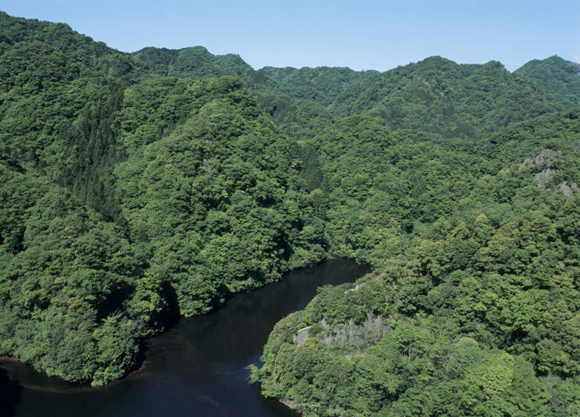 无人,横图,俯视,室外,白天,旅游,度假,河流,美景,森林,山,山脉,树林,水,植物,日本,亚洲,阴影,光线,影子,河水,景观,山峰,水流,山峦,娱乐,树,树木,蓝色,绿色,蓝天,天空,阳光,自然,群山,天,享受,休闲,景色,放松,生长,晴朗,成长,自然风光,东亚,本州,万里无云,茨城,茨城县,关东地方,本州岛,日本国,县厅,晴空,晴空万里,彩图,高角度拍摄,水户,水户市,水戸,水戸市