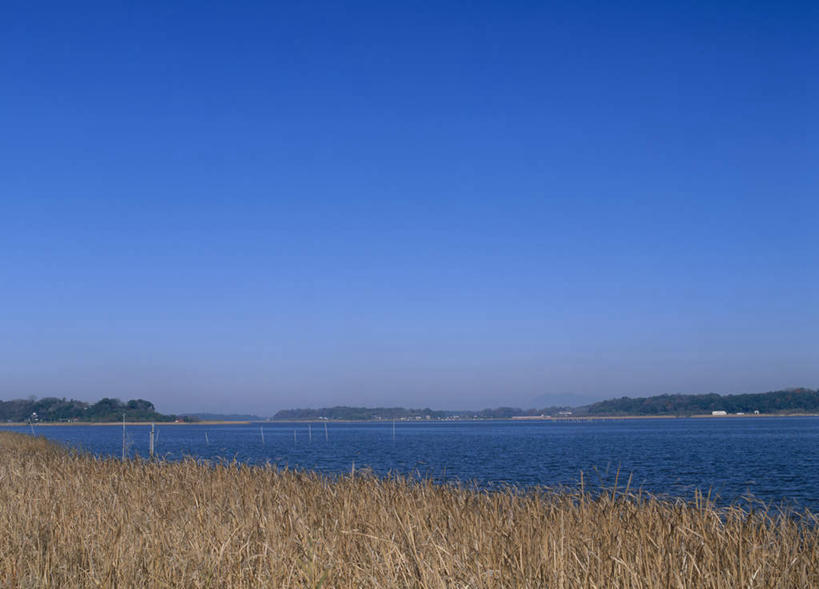 无人,横图,室外,白天,正面,旅游,度假,湖,湖泊,美景,水,植物,日本,亚洲,枯萎,湖面,景观,水流,水面,枯草,娱乐,草,黄色,蓝色,蓝天,天空,自然,湖水,天,享受,休闲,景色,放松,自然风光,东亚,本州,茨城,茨城县,关东地方,本州岛,日本国,县厅,彩图,水户,水户市,水戸,水戸市
